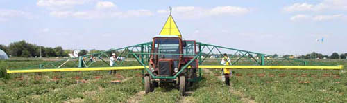 Harvest vegetable conveyor TOK-18